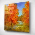 thumbnail image 2 of Epic Art 'Burst of Autumn Color' by Sheila Finch, Acrylic Glass Wall Art, 12"x12", 2 of 8