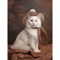 thumbnail image 1 of 5D DIY Full Round Drill Diamond Painting Cowboy Cat Kit Del 30x40cm Blanco, 1 of 9
