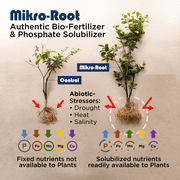 Mikrobs Mikro-Root Fungi Bio-Fertilizer, 4 oz with Enhanced Root Management