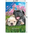 thumbnail image 3 of Keith Kimberlin - Bulldog Puppies Wall Poster, 22.375" x 34", 3 of 3