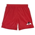 thumbnail image 3 of Looney Tunes Sylvester Mens Lined Mesh Shorts, Red, Large, 3 of 6