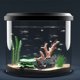 thumbnail image 4 of BESTYASH Adorno De Resina Naufragado Multicolor Para Acuario Con Y Fácil Mantenimiento, 4 of 7