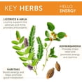 thumbnail image 4 of Himalaya Hello Energy Herbal Supplement with Ashwagandha, Amla, Daily Energy Support, Positivity, Metabolism, 60 Capsules, 4 of 8