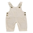 thumbnail image 1 of Baby Girl Boy Velvet Strap Suspender Overalls Pant Solid Jumpsuit Bib Pants One-Piece Spring Fall Clothes, 1 of 7