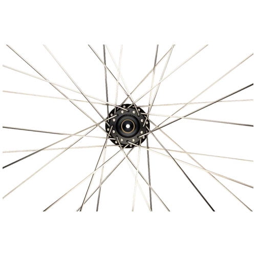 DT SWISS AEROLITE Spokes Silver /"Bladed/" *Any Quantity**Custom Cut Length* NEW