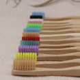 thumbnail image 4 of Women Fashion SPRING PARK Natural Biodegradable Toothbrush Soft Travel Toothbrush With Colorful Wooden Handle For Oral, 4 of 5