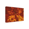 thumbnail image 2 of Eva Bane 'Summer Heat 01' Canvas Art, 2 of 3