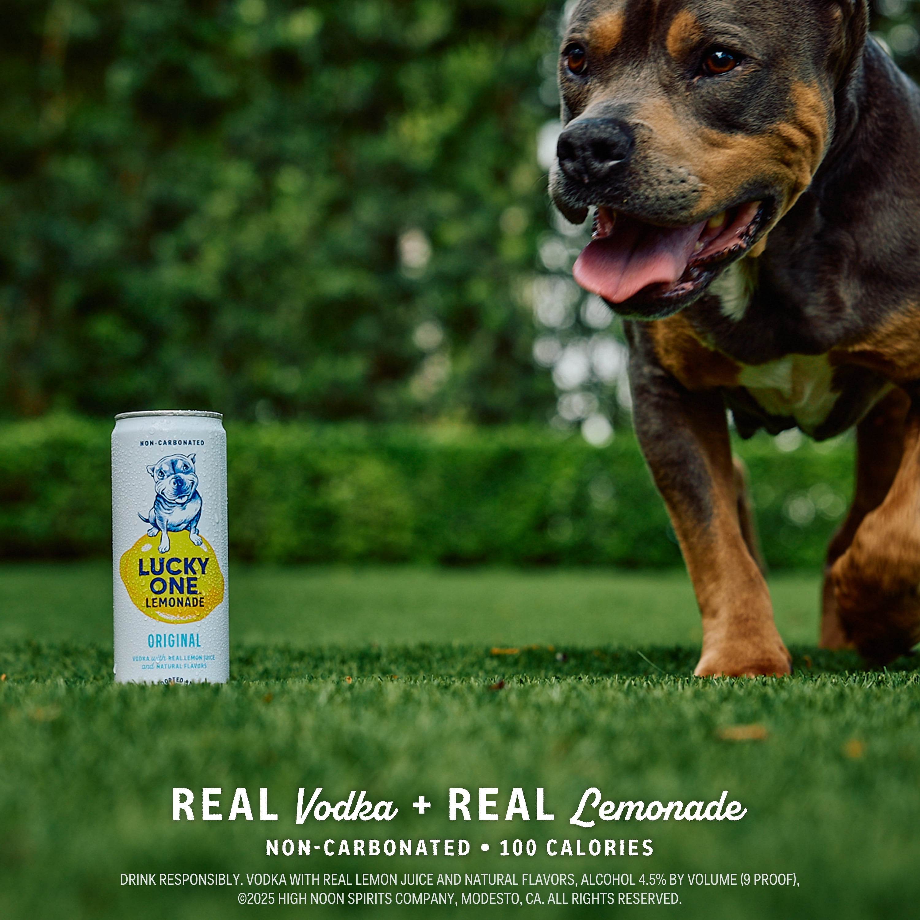 Lucky One Original Vodka Lemonade, 4 Pack, 12 fl oz Single Serve Cans, 355ml Serving Size