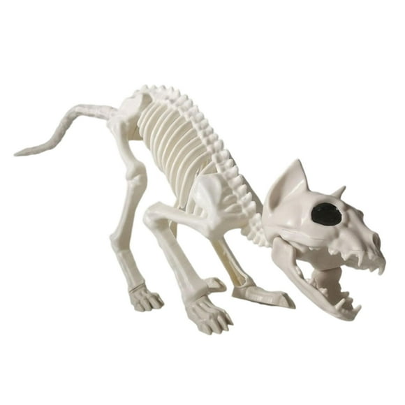 KLKCMS Cat Skeleton Halloween Decoration Cat Bones for Indoor Outdoor Lawn Backyard