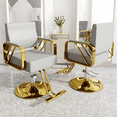 thumbnail image 1 of Sillon Silla Barberia Estetica 360° Moderna Tipo De Respaldo Fijo Gris Y Dorado Redonda, 1 of 6