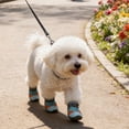thumbnail image 4 of Breathable Shiny Boots For Dog Cats Night Walking Light Up Shoes For Dogs Cats Motion Activated Visibility Pet Shoe With Night Light (4 Pcs Shoes), 4 of 6