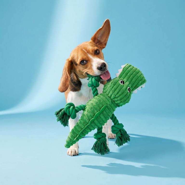 Vibrant Life Green Alligator Plush Dog Toy with Squeaker photo 2