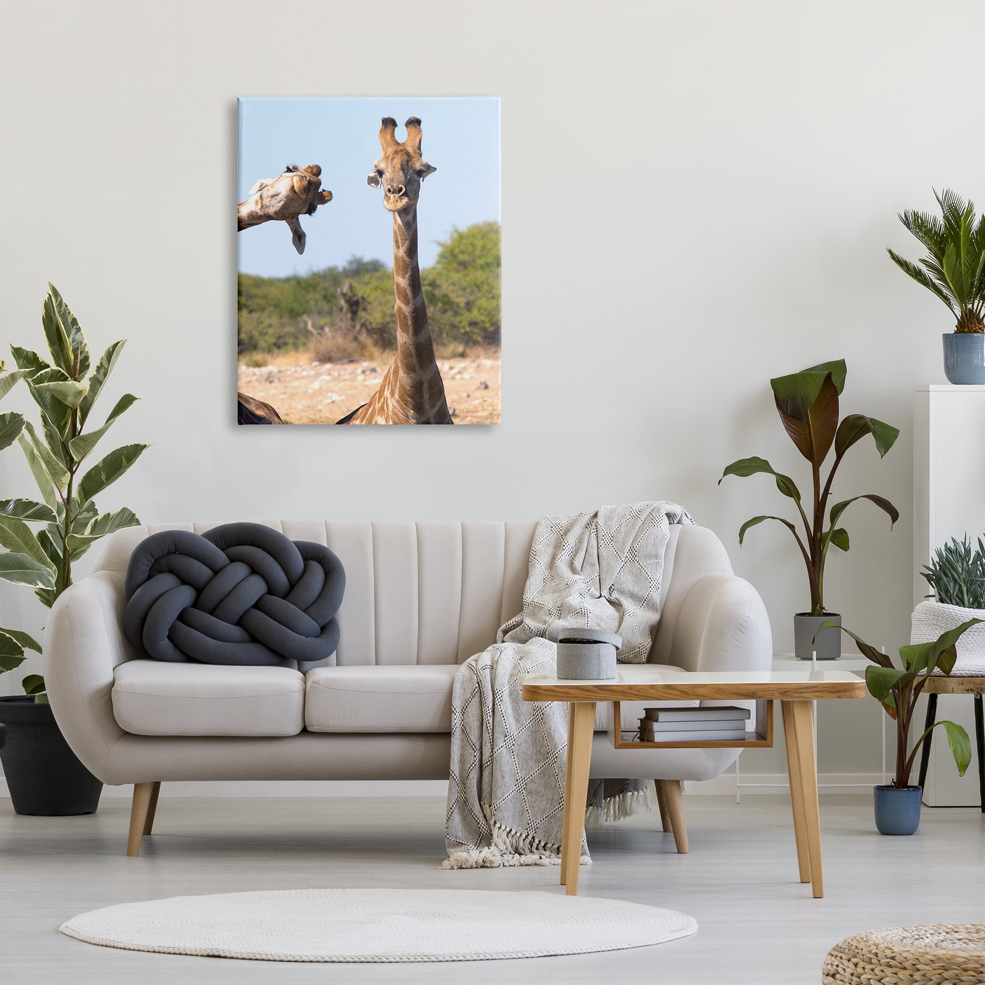 Stupell Industries Funny Photobomb Giraffes Animals & Insects Photography Gallery Wrapped Canvas Art Print Wall Art, 30 x 40