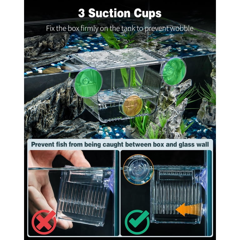 betta fish breeding box Isolation box/ High quality suckers can used to fix the product conveniently. WishLotus Fish Breeding Box –