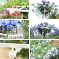 thumbnail image 5 of Garden Trellis Yard Lawn Gardening Plant Frame Umbrella Flower Frame Plant Support Trellis, 5 of 8
