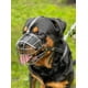 thumbnail image 3 of Bozal de metal resistente para perros Rottweiler TUNC Sencillez, 3 of 5
