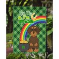 thumbnail image 3 of Wirehair Chocolate and Tan Dachshund St. Patricks Day Flag Garden Size, 3 of 3