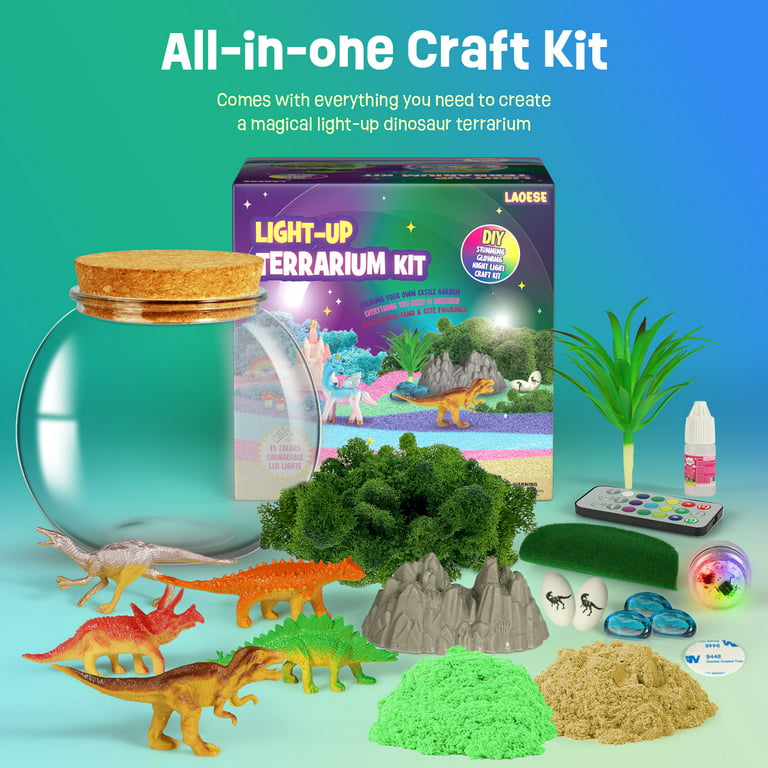 Java Moss Aquatic Terrarium Craft Kit, DIY Craft Kit, Gifts