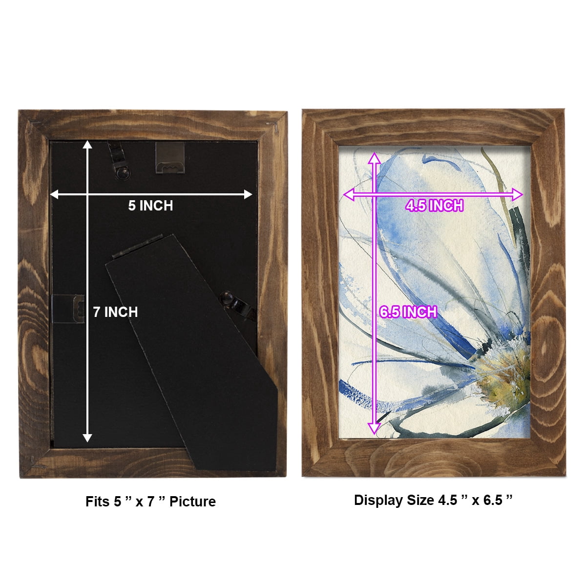 Cobalt & Paynes Petals I - Framed Print w/glass - Walnut