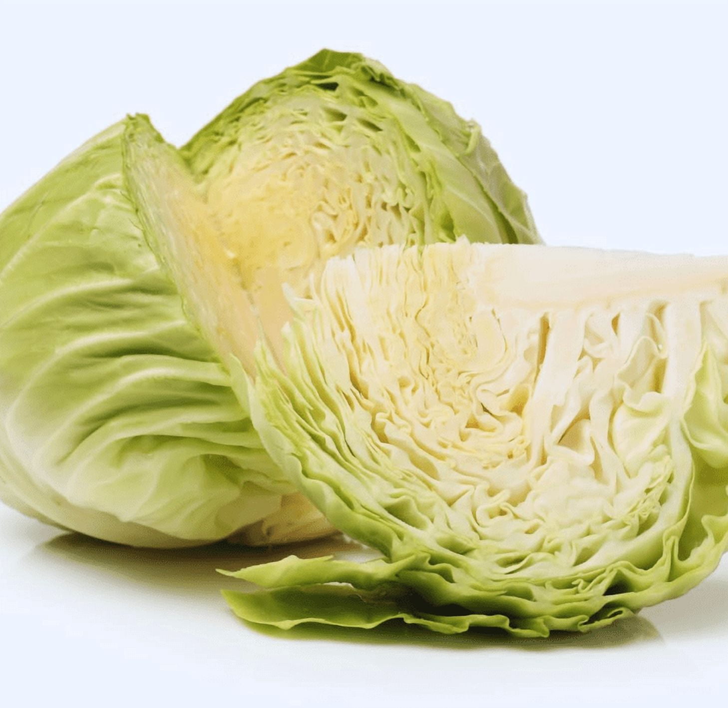 Cabbage Plant Live for Planting, 4 Inch Pot, Cold Harrdy Cabbage Vegetable Plant for Indoor Outdoor Garden