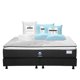 thumbnail image 1 of Colchón King Size Alaska Spring Air + Box + 2 Almohadas Trinity + Protector de Colchón Trinity, 1 of 12