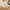 A, variant on Big Savings! Japanese Pull Saw, Hand Saw with Double-Edge Replaceable Blade, Precision Cut Saw for Woodworking, Carpentry, DIY Home Improvement Projects Deals of The Day Clearance!