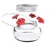 thumbnail image 1 of Nature's Way Bird Products MJF1 Nature's Way Mason Jar Comedero para platos de colibrí, transparente, 1 of 5