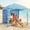 Light Blue, variant on Parcus Whole Family Sun Shade, 6x6ft Portable Cabana with Detachable Wind Wall, UPF 50+ UV Defense, Easy-Assemble Beach Tent, Foldable Shelter, Starfish Shell