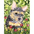 thumbnail image 1 of 11 x 15 In. Norwich Terrier Flag, Garden Size, 1 of 1