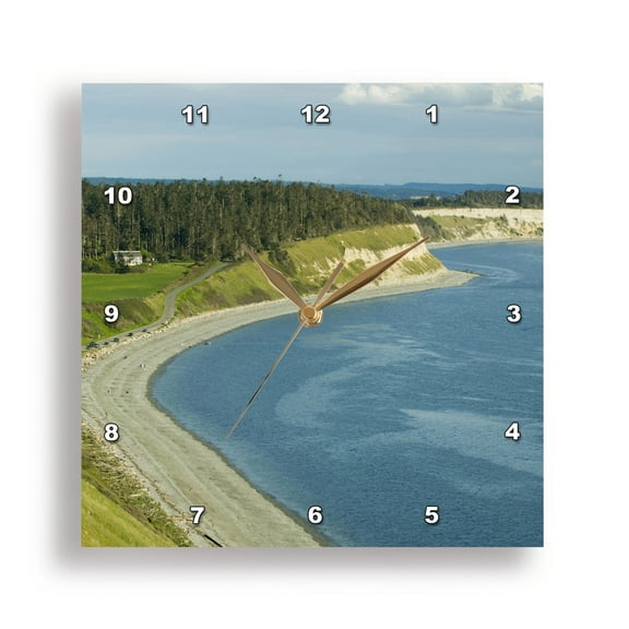 3dRose, WA, Whidbey Island, Ebeys Landing Reserve coastline - US48 TDR0221 - Trish Drury, 15x15 Wall Clock