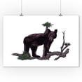 thumbnail image 2 of Florida Black Bear, Icon (9x12 Wall Art Print, Home Decor), 2 of 3