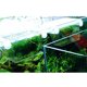 thumbnail image 2 of BESTYASH Caja De Cría Para Peces Vivíparos Con Acrílico Transparente Y Doble Ventosa De Sujeción, 2 of 7