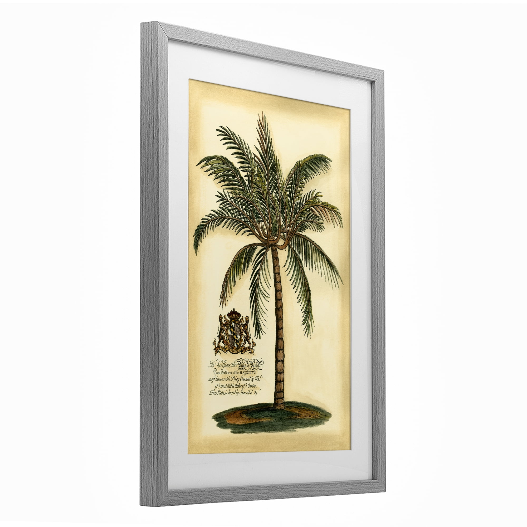 Stupell Industries British Colonial Palm Gray Framed Print Under Glass, design by Vision Studio