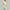 Yellow, variant on Itsame Sweatsuits 2pcs Sets for Womens Long Sleeved Sweatshirt and Pants Printed Round Neck Casual Set Green Size XL