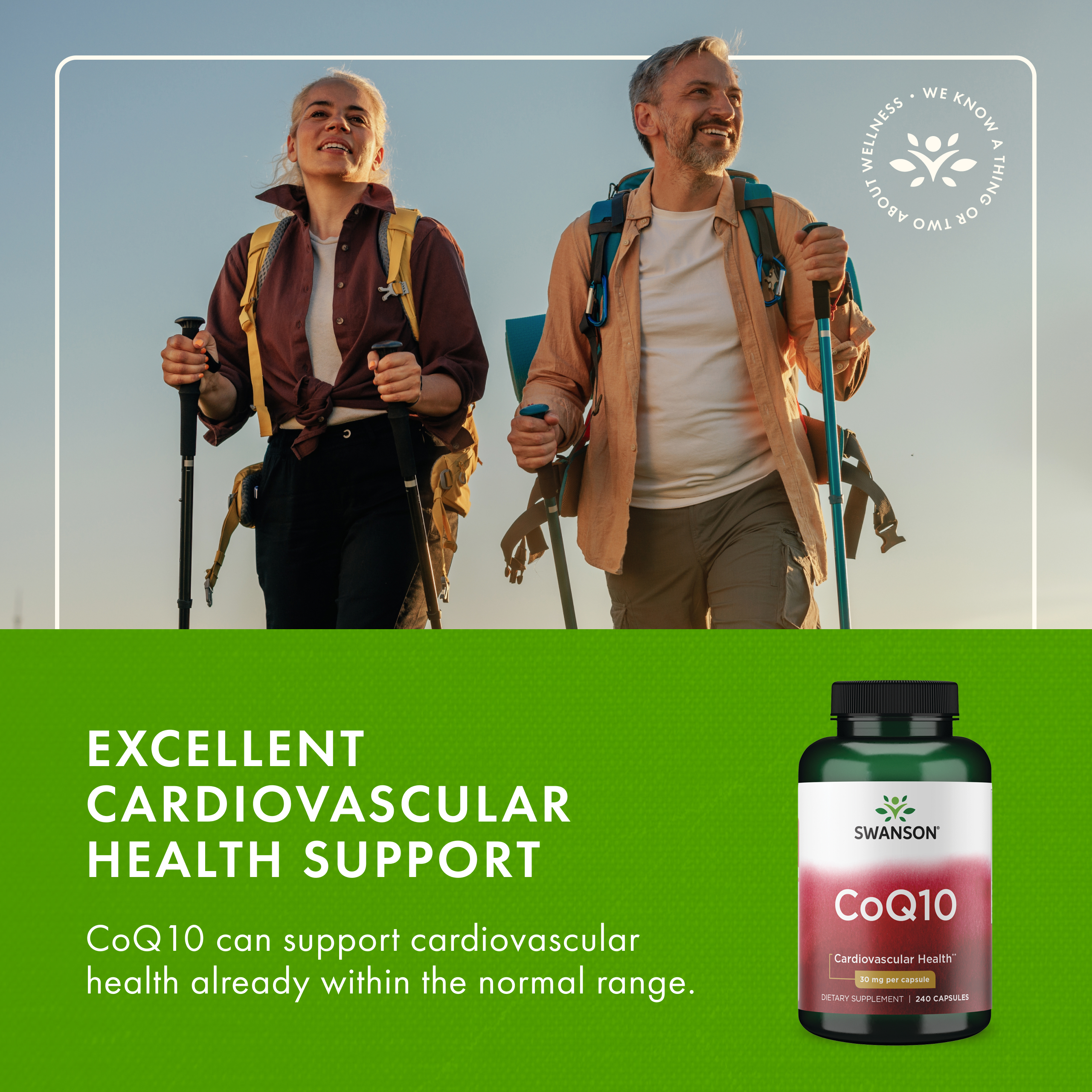 Swanson Coq10 30 mg 240 Capsules