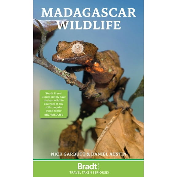 Madagascar Wildlife, (Paperback)