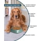 thumbnail image 3 of Plato para Perro Weeksun Azul Antideslizante y Comida Lenta para Perros Pequeños y Medianos, 3 of 7