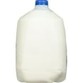 thumbnail image 3 of PET Dairy 2% Reduced Fat Milk with Vitamin A and D, Milk Gallon - 1 Jug, 3 of 14