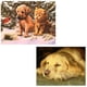 thumbnail image 5 of 5D DIY diamante pintura de animales punto de cruz resina redonda diamantes de imitación bordado imagen de costura decoración del hogar regalo Eigraketly JJ15625-02, 5 of 6