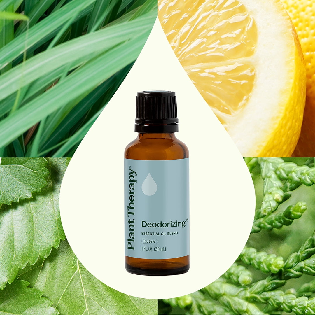 Plant Therapy Deodorizing Essential Oil Blend 100 mL (3.3 oz) 100% Pure, Undiluted, Natural Aromatherapy