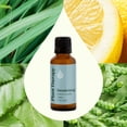 thumbnail image 3 of Plant Therapy Deodorizing Essential Oil Blend 100 mL (3.3 oz) 100% Pure, Undiluted, Natural Aromatherapy, 3 of 9