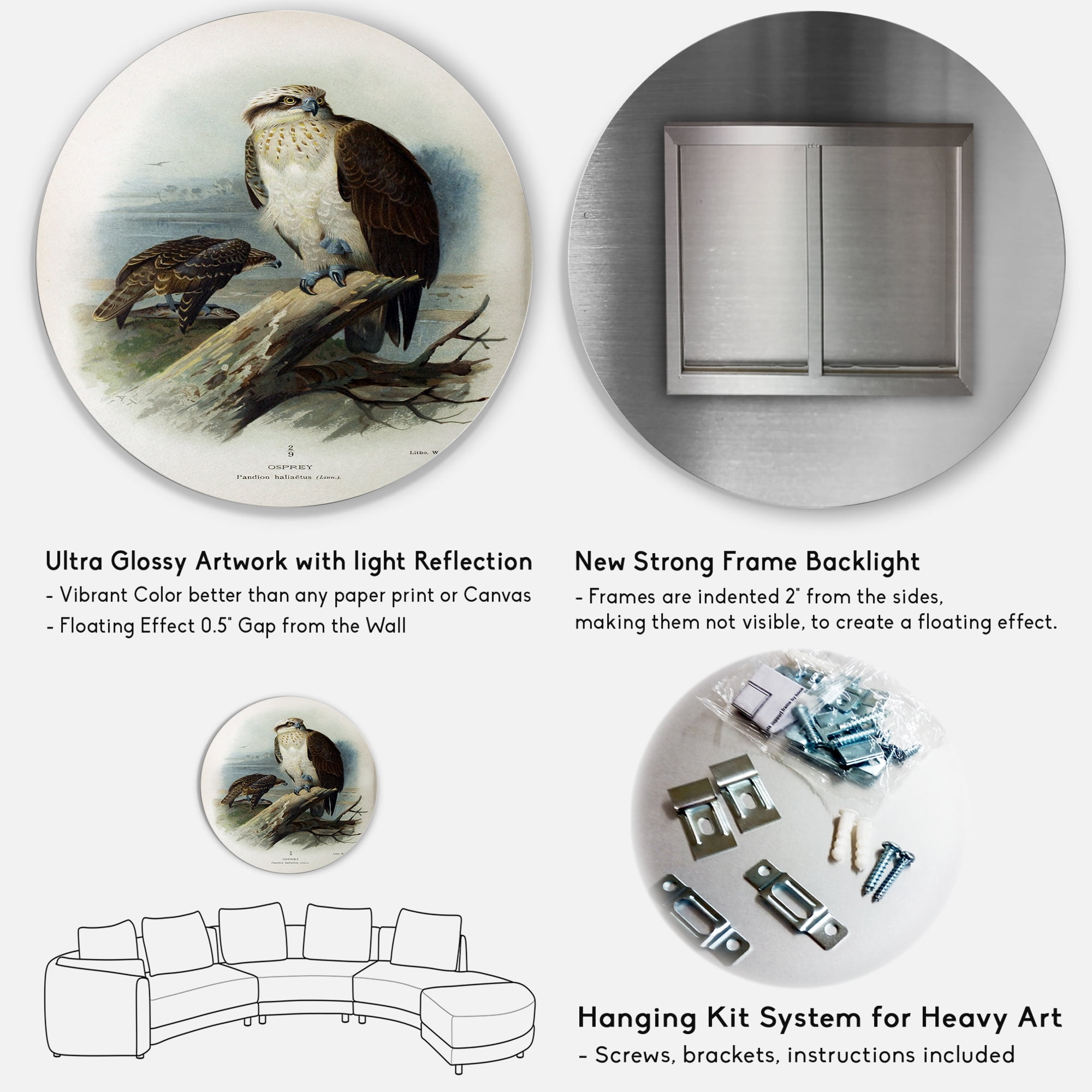 Designart 'Ancient Bird Life VI' Traditional Circle Metal Wall Art 36x36 - Disc of 36