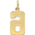 thumbnail image 4 of 14K Yellow Gold Medium Polished Number 6 Charm (17.75 X 9.64) Made In United States mp06, 4 of 6