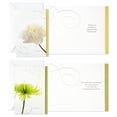 thumbnail image 4 of Tarjetas de condolencia Hallmark, 12 diseños florales, 13 x 18 cm, 4 of 9
