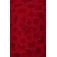 thumbnail image 2 of nuLOOM Gol Hand Tufted Wool Area Rug, 3' 6" x 5' 6", Red, 2 of 2