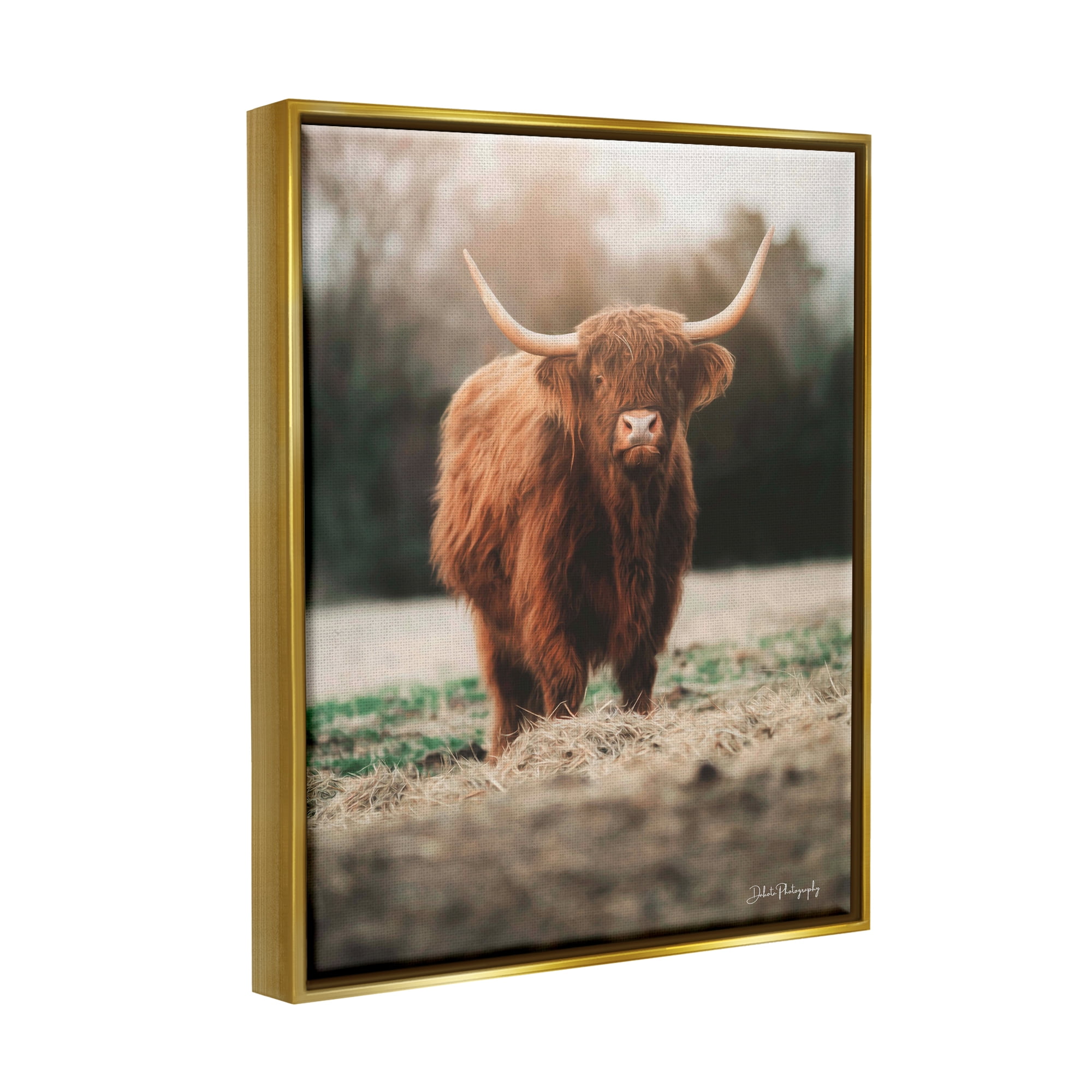 Stupell Rural Farm Pasture Cattle Animals & Insects Photography Gold Floater Framed Art Print Wall Art