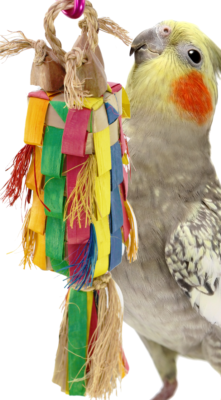 bird toys walmart