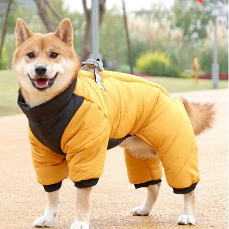 manteau impermeable et chaud pour chien
