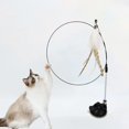 thumbnail image 4 of Juguete interactivo para gato, palo manos libres, Varita Teaser, ventosa, pájaro, pluma, suministros para mascotas, 4 of 4