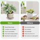 thumbnail image 4 of Uxcell 2-Pack Bandejas para Plantas, 6.3 Pulgadas ID Anti-Raíz Resina Bandejas para Macetas para Interiores/Exteriores, Bandeja de Goteo para Macetas [8.3 Pulgadas OD, Gris Blanco], 4 of 6